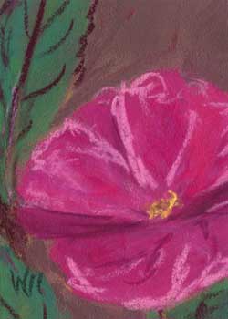 "Olbrich Awakening: Flower " by Wendy Crone, McFarland WI - Pastel
